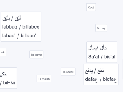 Flashcards