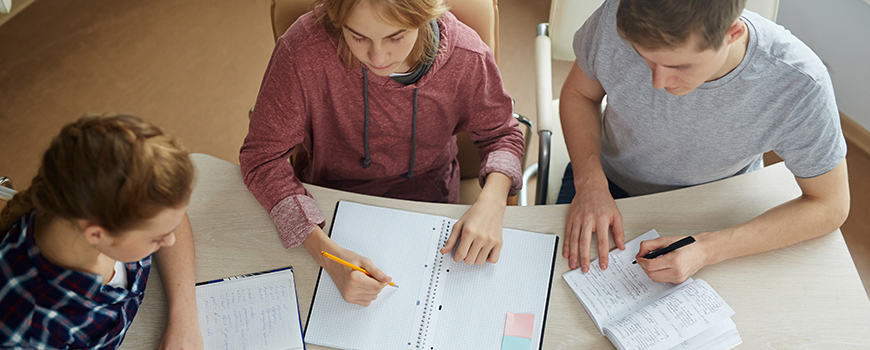 summer arabic language programs